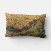 ポルクパインマウンテンズウィルダネス州パーク ランバークッション (裏面)