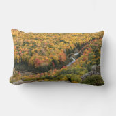 ポルクパインマウンテンズウィルダネス州パーク ランバークッション (正面)