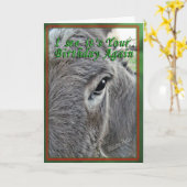 ポルシャ誕生日 カード (黄色い花)