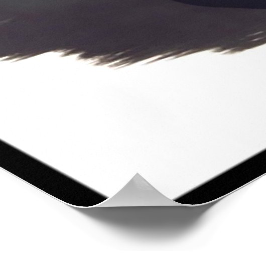 ポルスカスラスク ポスター (角)