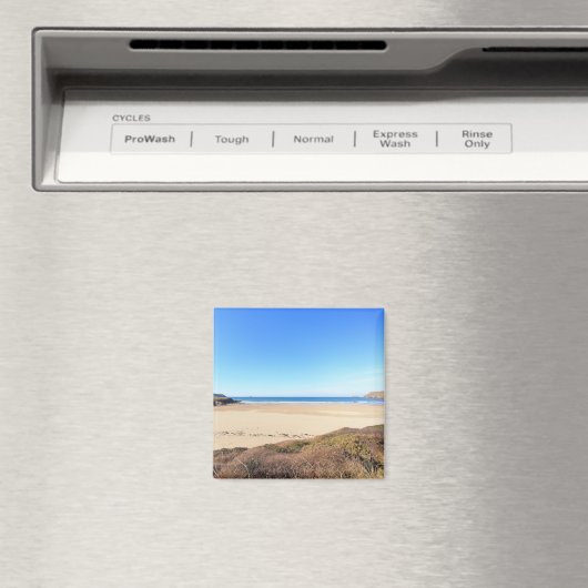 ポルゼアト マグネット (インサイチュ (食洗機))