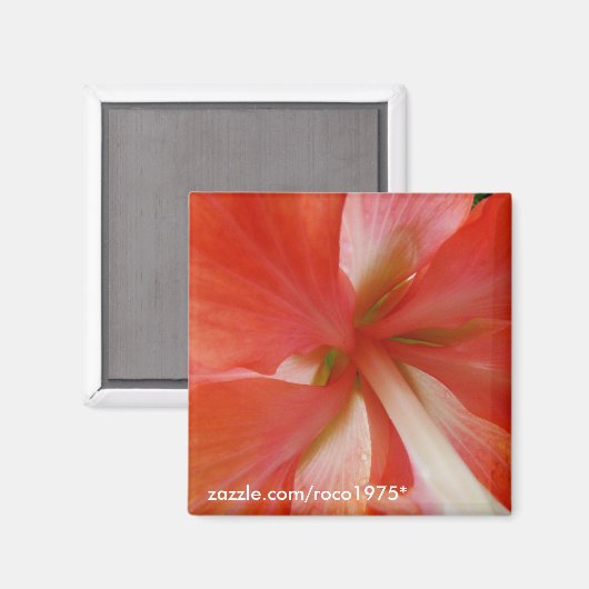 ポルタ マグネット (正面/裏面)