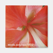 ポルタ マグネット (正面)