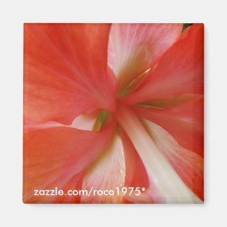 ポルタ マグネット