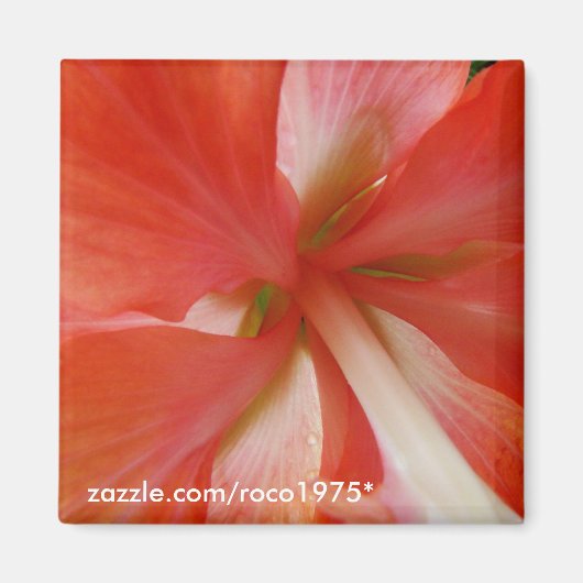 ポルタ マグネット (正面)