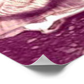 ポルティア・セント・ルークの紡ぎ車でフレヤ ポスター (角)