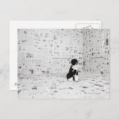 ポルトガルのウォーター・ドッグが部屋に入り ポストカード (正面/裏面)