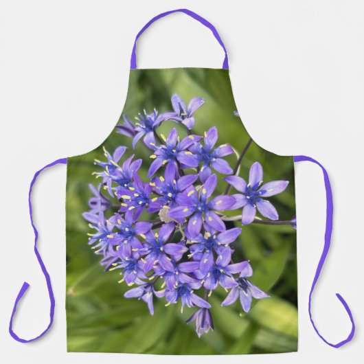 ポルトガルのスクイル花クローズアップ自然写真 エプロン (正面)