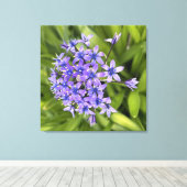 ポルトガルのスクイル花クローズアップ自然写真 キャンバスプリント (インサイチュ (ウッドフロア))