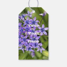 ポルトガルのスクイル花クローズアップ自然写真 ギフトタグ