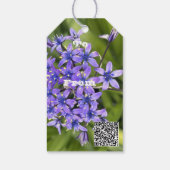 ポルトガルのスクイル花クローズアップ自然写真 ギフトタグ (裏面)
