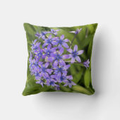 ポルトガルのスクイル花クローズアップ自然写真 クッション (裏面)