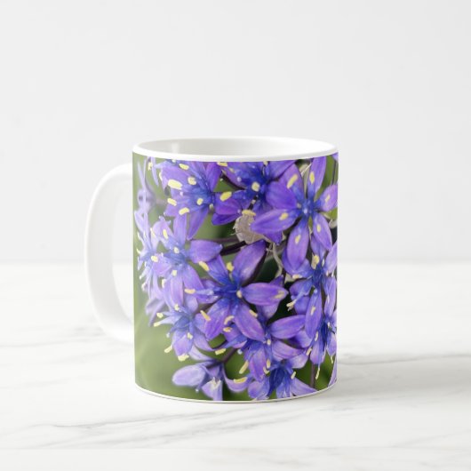 ポルトガルのスクイル花クローズアップ自然写真 コーヒーマグカップ (正面左)