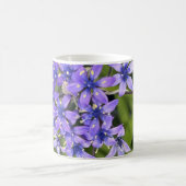 ポルトガルのスクイル花クローズアップ自然写真 コーヒーマグカップ (中央)