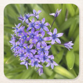 ポルトガルのスクイル花クローズアップ自然写真 スクエアペーパーコースター (正面)