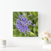 ポルトガルのスクイル花クローズアップ自然写真 スクエア壁時計 (ホーム)