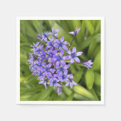 ポルトガルのスクイル花クローズアップ自然写真 スタンダードカクテルナプキン (正面)