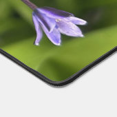 ポルトガルのスクイル花クローズアップ自然写真 デスクマット (コーナー)