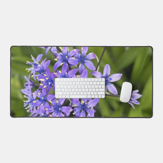 ポルトガルのスクイル花クローズアップ自然写真 デスクマット (キーボード&マウス)
