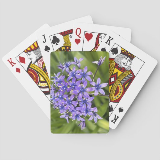 ポルトガルのスクイル花クローズアップ自然写真 トランプ (裏面)