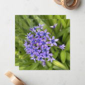 ポルトガルのスクイル花クローズアップ自然写真 ノートカード (正面/裏面インサイチュ)