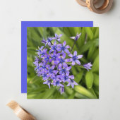 ポルトガルのスクイル花クローズアップ自然写真 ノートカード (正面/裏面インサイチュ)