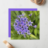 ポルトガルのスクイル花クローズアップ自然写真 ノートカード (正面/裏面インサイチュ)