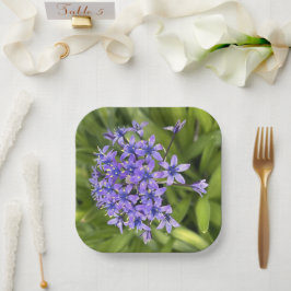 ポルトガルのスクイル花クローズアップ自然写真 ペーパープレート