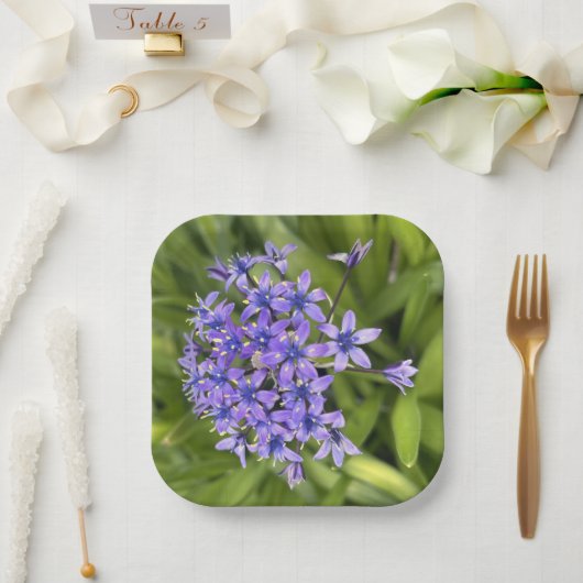 ポルトガルのスクイル花クローズアップ自然写真 ペーパープレート (ウェディング)
