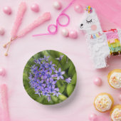 ポルトガルのスクイル花クローズアップ自然写真 ペーパーボウル (パーティー)