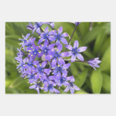 ポルトガルのスクイル花クローズアップ自然写真 ラッピングペーパーシート (正面3)