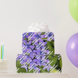 ポルトガルのスクイル花クローズアップ自然写真 ラッピングペーパー