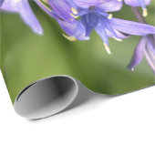 ポルトガルのスクイル花クローズアップ自然写真 ラッピングペーパー (ロールコーナー)