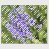 ポルトガルのスクイル花クローズアップ自然写真 ラッピングペーパー (フラット)