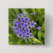 ポルトガルのスクイル花クローズアップ自然写真 缶バッジ (正面)