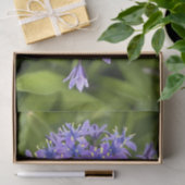 ポルトガルのスクイル花クローズアップ自然写真 薄葉紙 (ギフト)