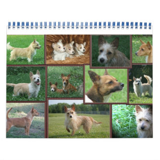 ポルトガルのポデゴ・ペケノ暦 カレンダー