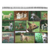 ポルトガルのポデゴ・ペケノ暦 カレンダー (カバー)