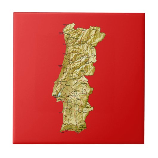 ポルトガルの地図のタイル タイル (正面)