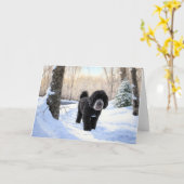 ポルトガルの水犬が雪のクリスマスを過ごした カード (黄色い花)