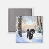 ポルトガルの水犬が雪のクリスマスを過ごした マグネット (正面/裏面)