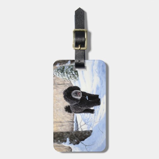 ポルトガルの水犬が雪のクリスマスを過ごした ラゲッジタグ (正面縦)