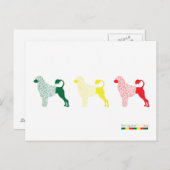 ポルトガルの水犬カード ポストカード (正面/裏面)