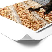 ポルトガルの水犬、エマ ポスター (角)