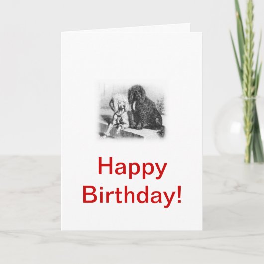 ポルトガルの水犬 カード (正面)