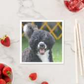 ポルトガルの水犬 スタンダードカクテルナプキン (インサイチュ)