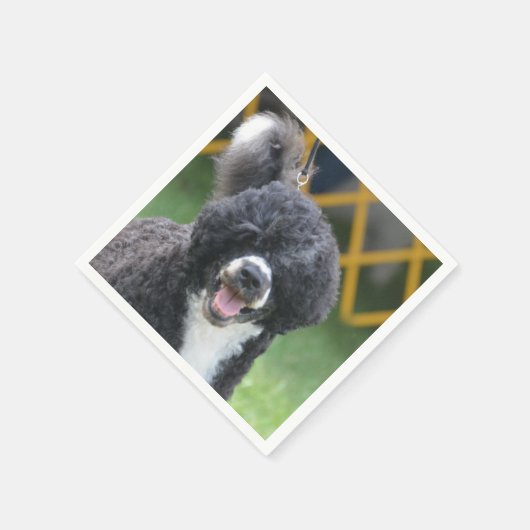 ポルトガルの水犬 スタンダードカクテルナプキン (角)