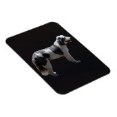 ポルトガルの水犬 マグネット (右側)