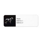 ポルトガルの水犬 ラベル (正面)