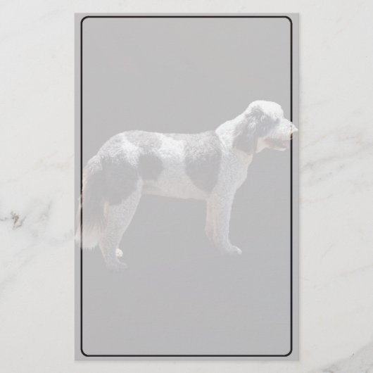 ポルトガルの水犬 便箋 (正面)
